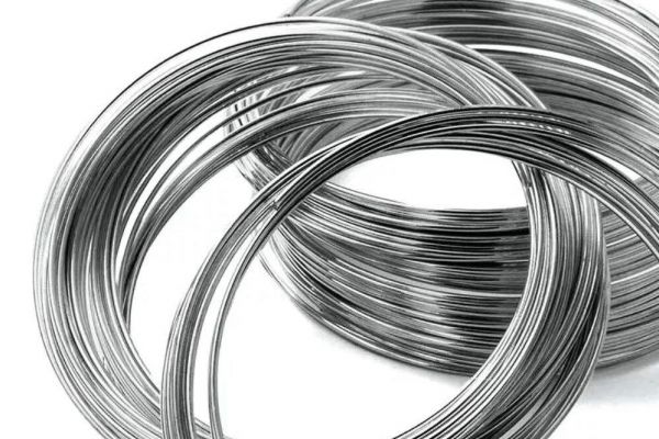 provoloka olovjannaja