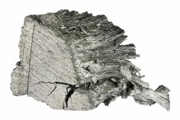 tulij metallicheskij